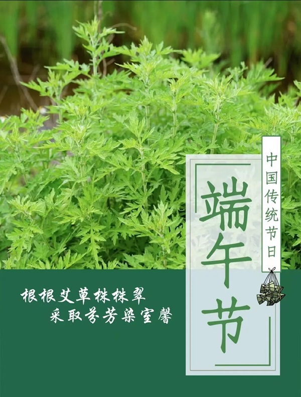 beat365英国官网||管理学院||端午送福利 关怀沁人心——我院为教职工发放端午节礼品
