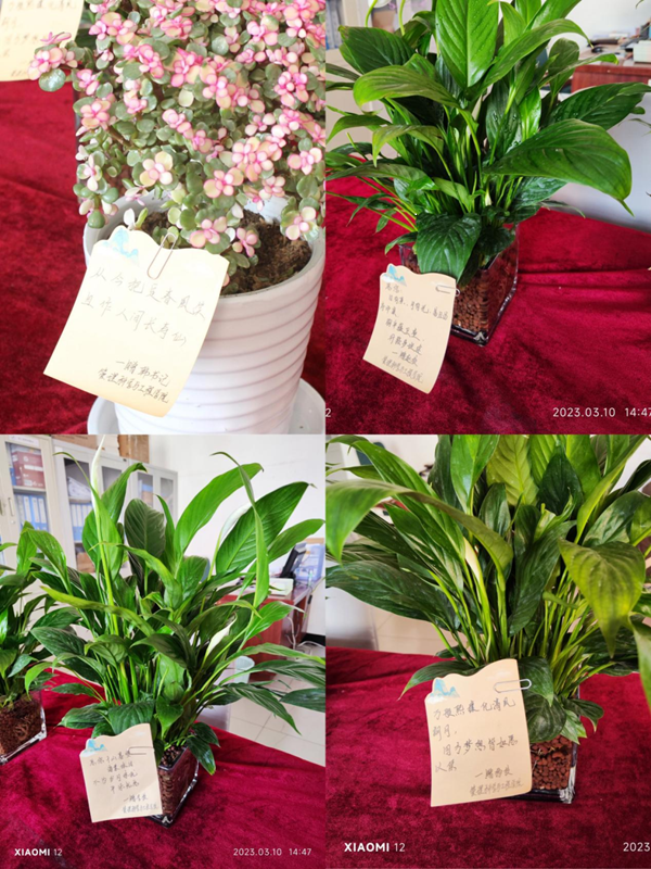 beat365英国官网|管理学院|手植绿茵 播洒希望