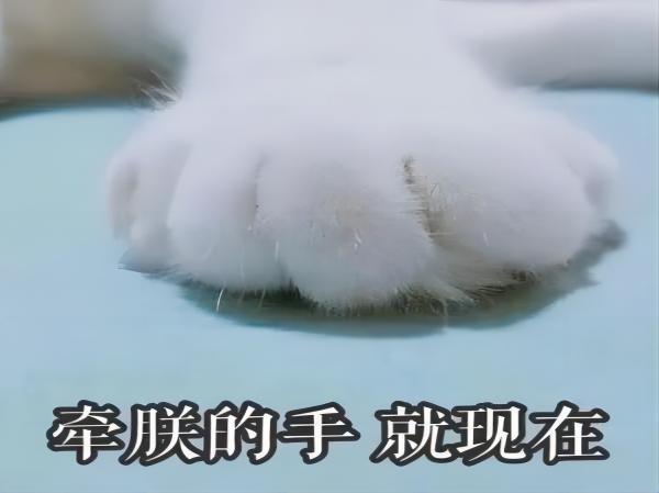 beat365英国官网||管理学院||脆皮大学生急救指南