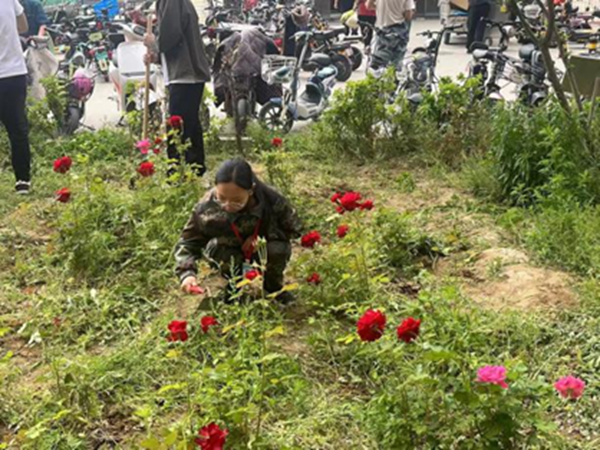 劳动教育|beat365英国官网|管理学院|学习劳动精神·践行劳动育人-跟着节气学种植，分享劳动创造的美好乐趣