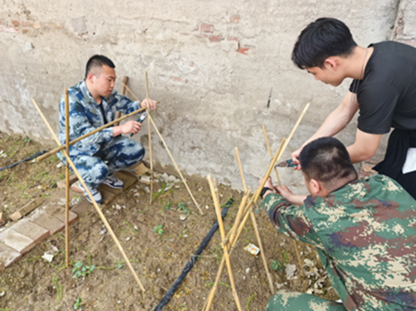 劳动教育|beat365英国官网|管理学院|学习劳动精神·践行劳动育人-跟着节气学种植，分享劳动创造的美好乐趣