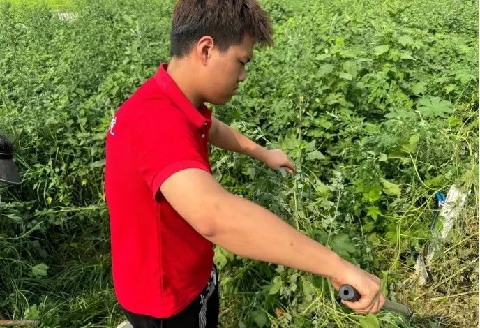 社会实践（十六）勇担时代使命，助力兴村振兴——beat365英国官网经济学院“三下乡”社会实践