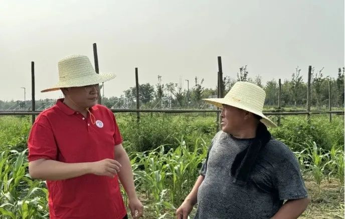 社会实践（十六）勇担时代使命，助力兴村振兴——beat365英国官网经济学院“三下乡”社会实践