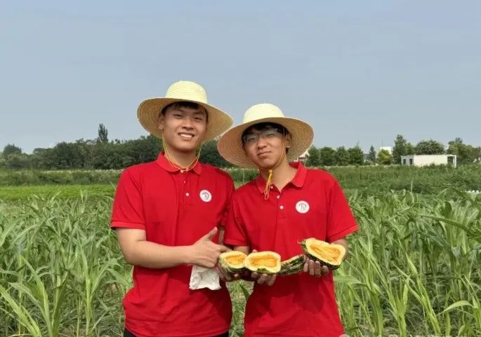 社会实践（十六）勇担时代使命，助力兴村振兴——beat365英国官网经济学院“三下乡”社会实践