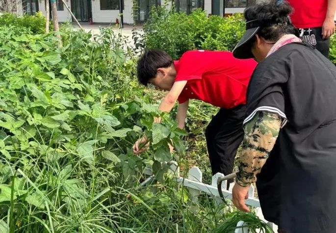 社会实践（十六）勇担时代使命，助力兴村振兴——beat365英国官网经济学院“三下乡”社会实践