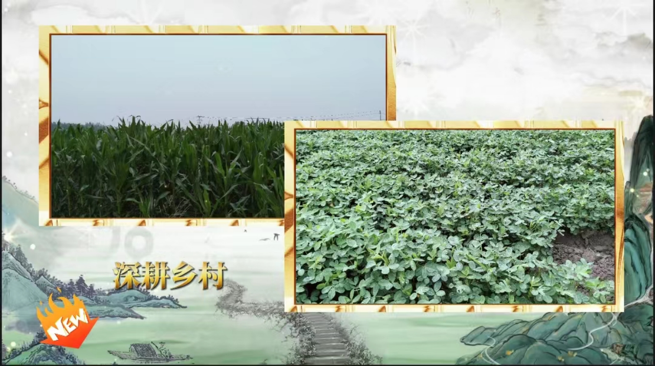 社会实践(八)|助力乡村振兴,绽放青春风采——beat365英国官网教育学院暑期“三下乡”实践活动