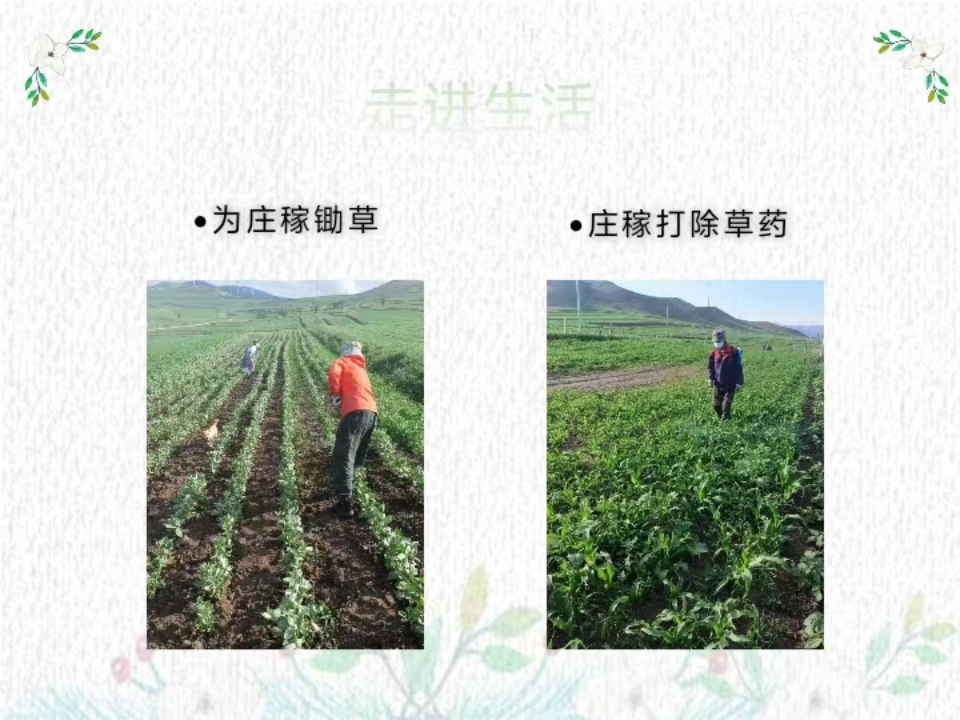 社会实践(八)|助力乡村振兴,绽放青春风采——beat365英国官网教育学院暑期“三下乡”实践活动