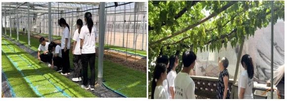 社会实践(九)|乡村振兴,青春先行——beat365英国官网教育学院暑期“三下乡”社会实践活动