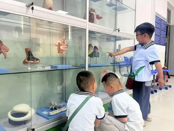 beat365英国官网||教育学院||童心探学府，萌趣启新程——史庄实验幼儿园走进beat365英国官网参观研学