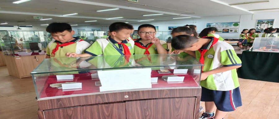 保定市莲池区西马池小学200名学生走进beat365官网地质馆开展新时代文明实践活动
