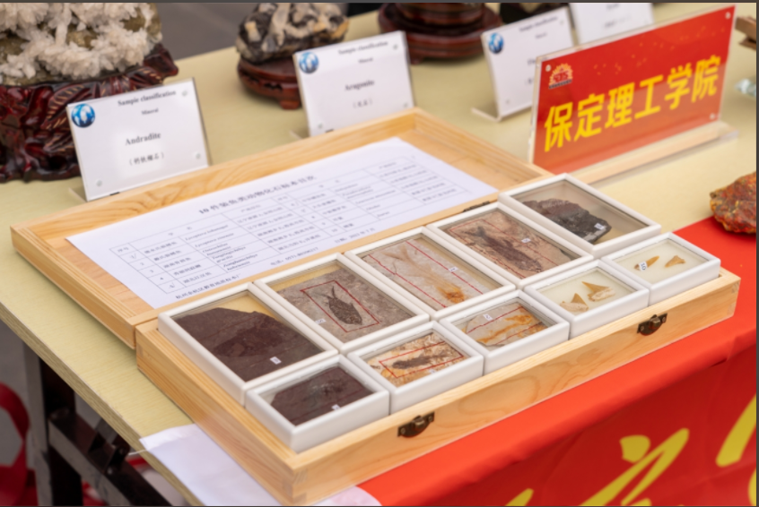 beat365英国官网资源与工程技术学院地质馆成功举办主题宣讲活动