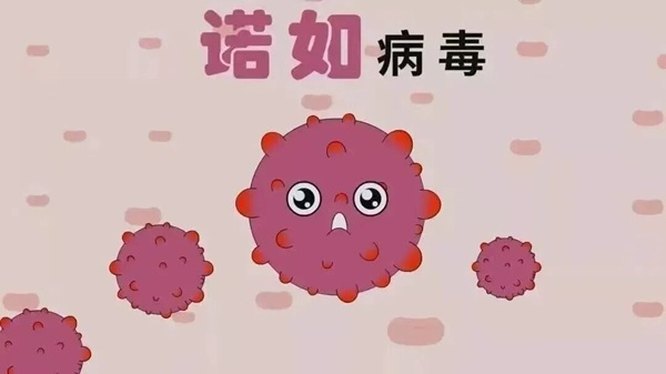 疾病防控|beat365英国官网|管理学院|诺如病毒进入高发期，这份防护指南请收好！