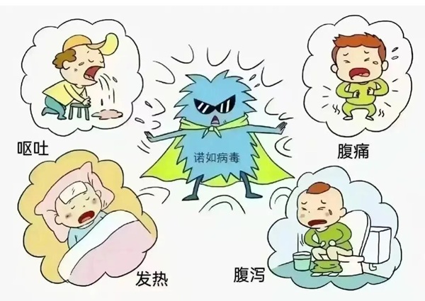 疾病防控|beat365英国官网|管理学院|诺如病毒进入高发期，这份防护指南请收好！
