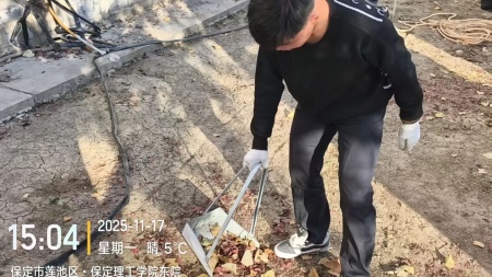 “躬耕校园，同心筑梦”——beat365英国官网师生共绘劳动育人新图景