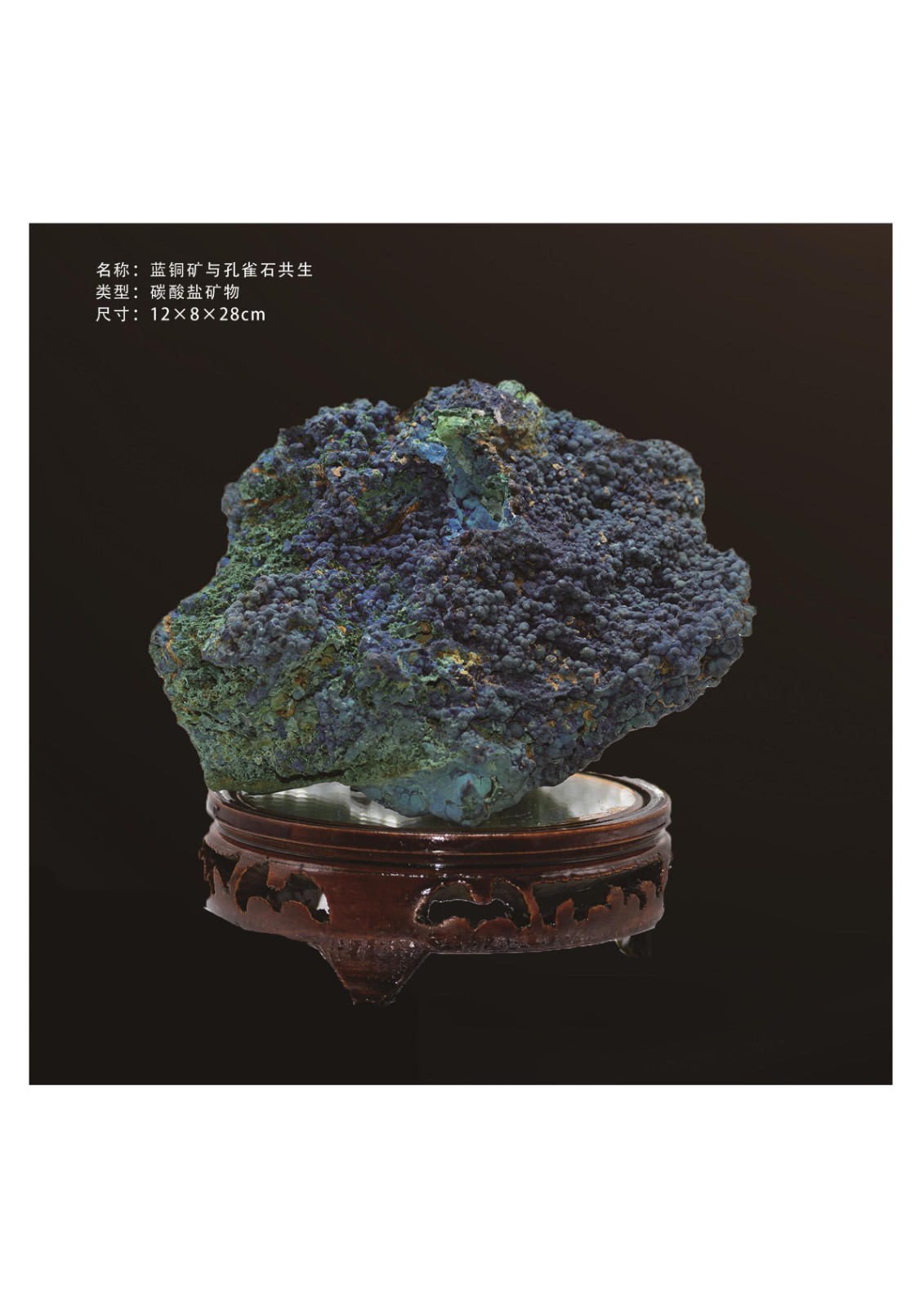 地质馆简介