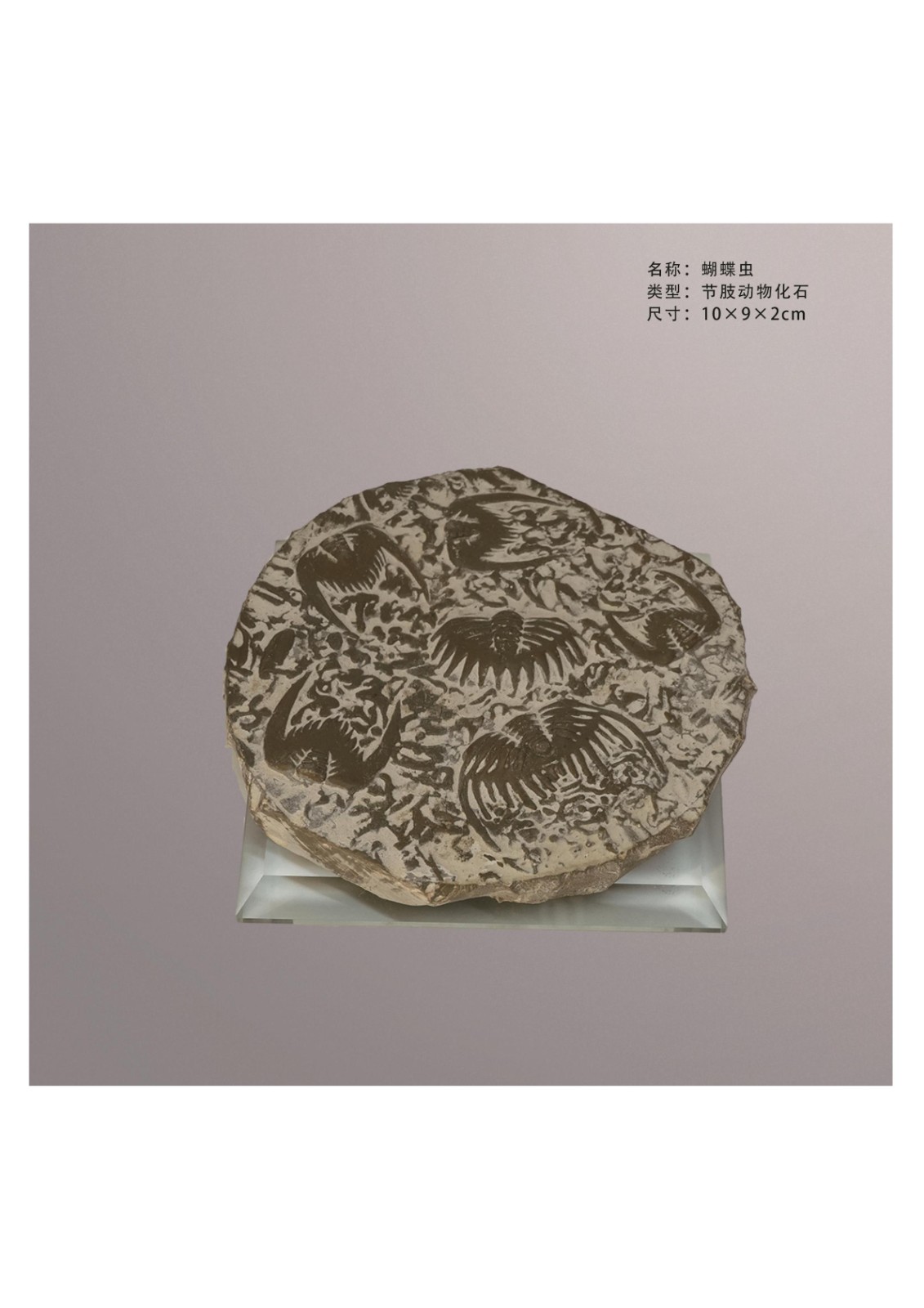 简介