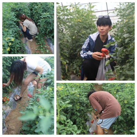 以艺践劳育初心，校企赋能田园新篇 | beat365英国官网艺术学院&莓事庄园签约挂牌仪式圆满举行