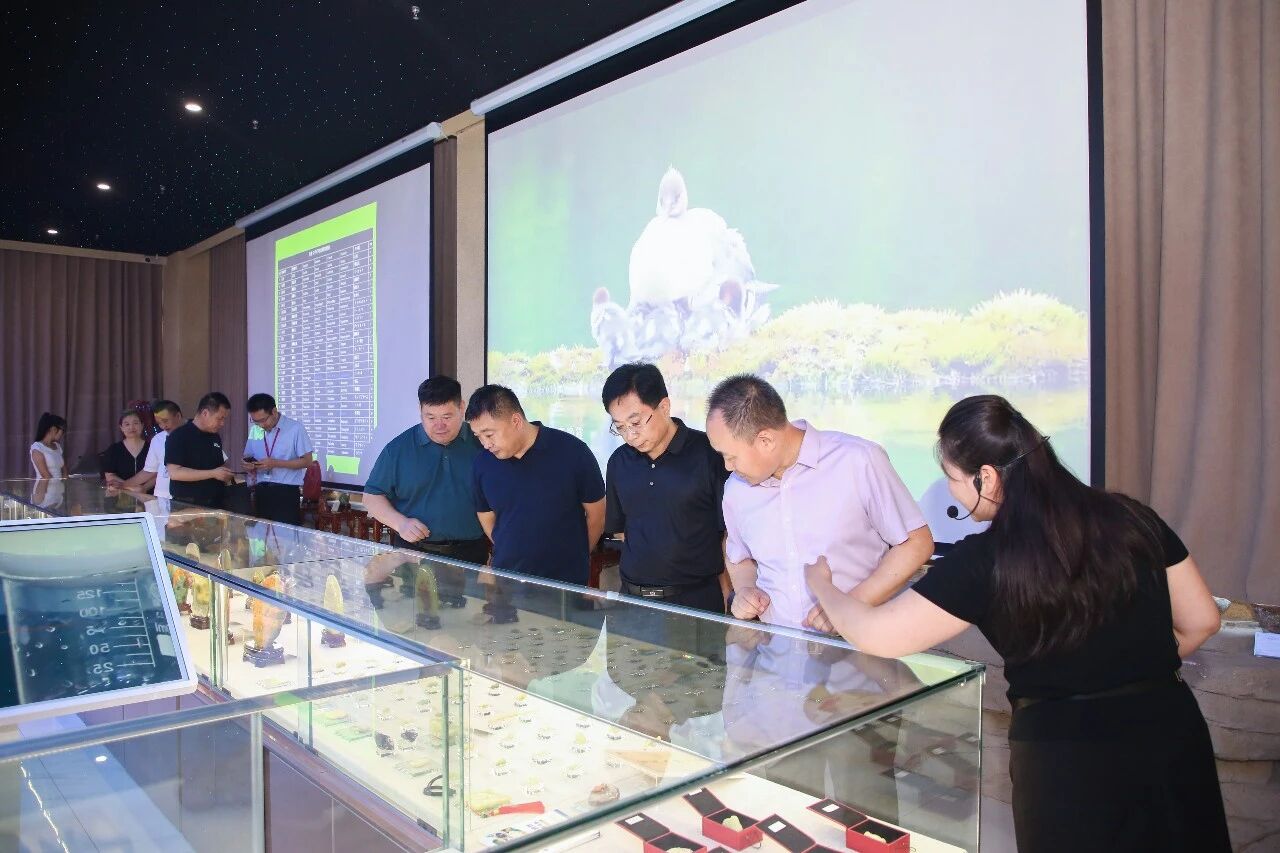 深化校地协同 赋能科技创新——市科协领导莅临beat365英国官网交流指导